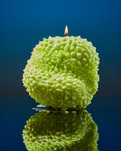 Candle / Giant Durian